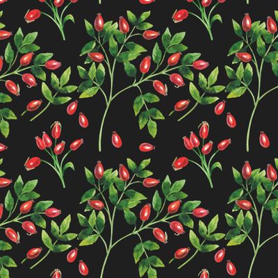 Шиповник на чёрном фоне