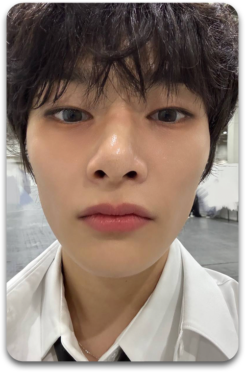 Карта / STRAY KIDS #2817