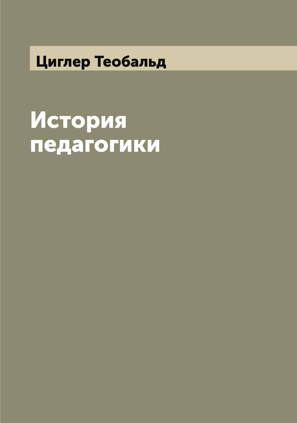 История педагогики | Циглер Теобальд