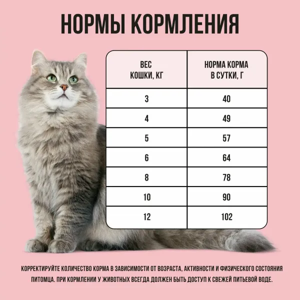 Сухой корм BOWL WOW для взрослых кошек с индейкой и яблоком