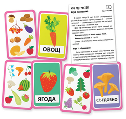 IQ игры с картами. Что где растет?