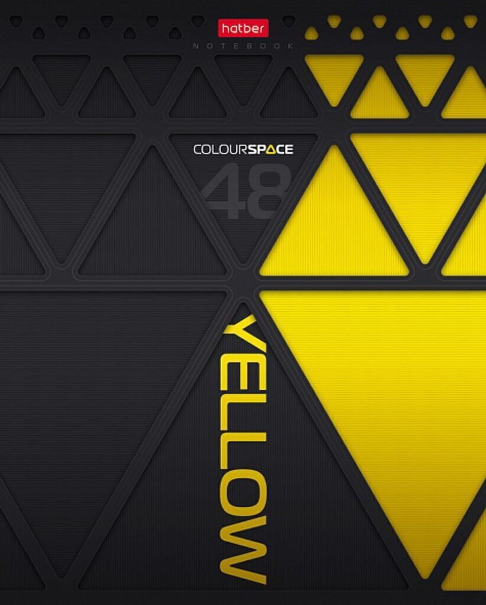 Тетрадь 48л, А5, клетка, Хатбер ColorSpace, выб. лак, ассорти