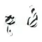 Apple AirPods Pro 2nd gen with MagSafe USB-C (2023) Zebra