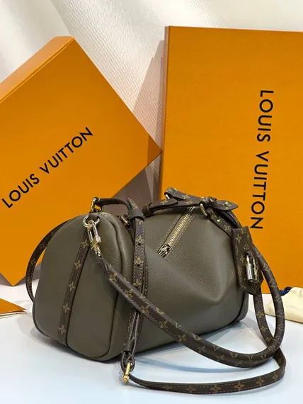 Сумка Louis Vuitton Express