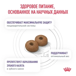 Royal canin neutered adult small dog сухой корм для взрослых кастрированных собак мелких пород 800г