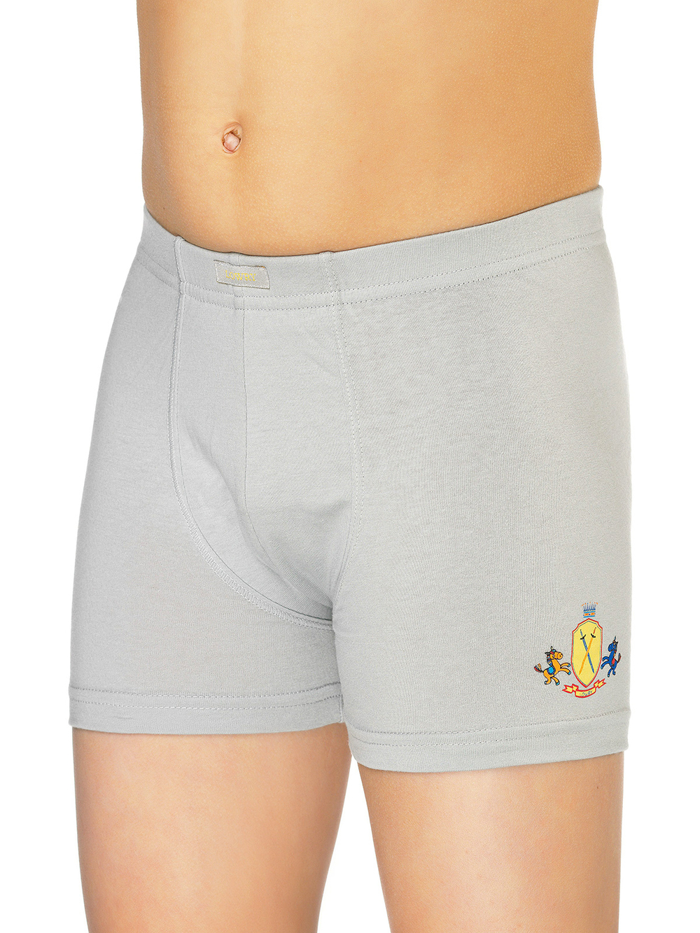 BSH-316/BSHL-317-4 трусы для мальчиков