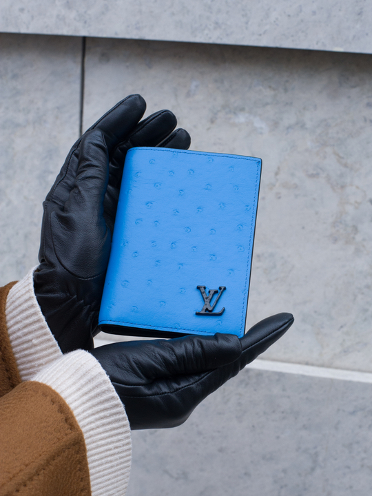 Louis Vuitton Обложка для паспорта