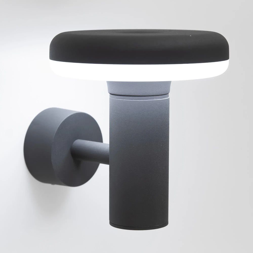 Citilux GARDA CLU01W LED Уличный настенный светильник Графит