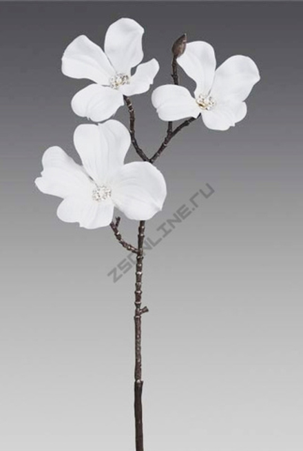 Ветка кизила GB816