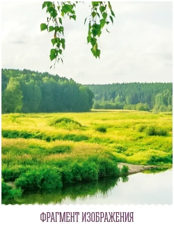Топ Фотообои / Открытое окно с видом на лес и реку / 3д флизелиновые вертикальные на стену в комнату / 150х129