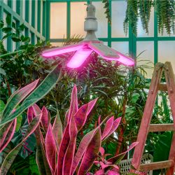 ULH-A180 E27-WF WHITE Умный патрон-адаптер Wi-Fi+Bluetooth. под лампу Е27. 220В. 100Вт. Белый. Голосовое управление+приложение UnielSmart. TM Uniel