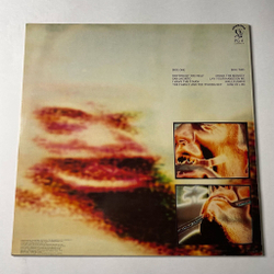 Винтажная виниловая пластинка LP Peter Gabriel (UK 1982) The Rhythm Of The Heat