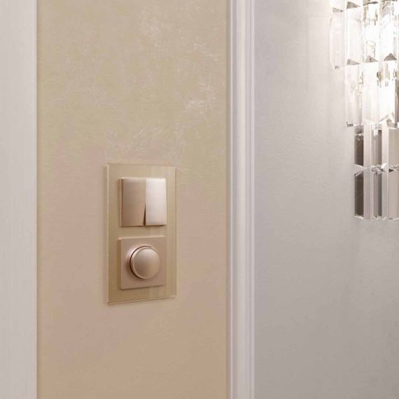 Диммер Werkel шампань W1142011 4690389157202