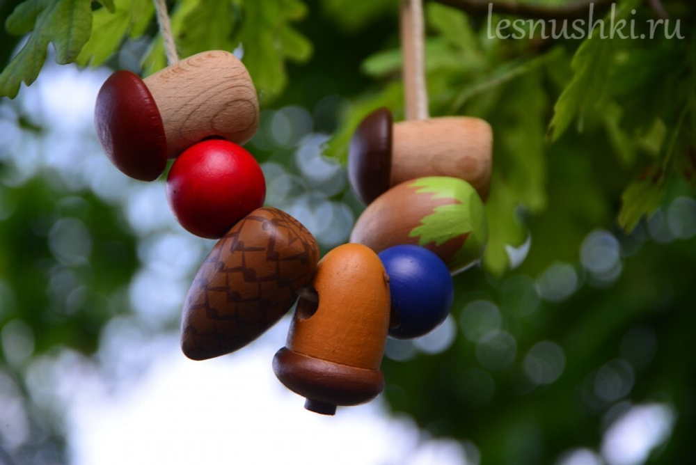 Шнуровка Белочкины припасы Леснушки