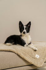 Плед "Пони-сони" Бежевый