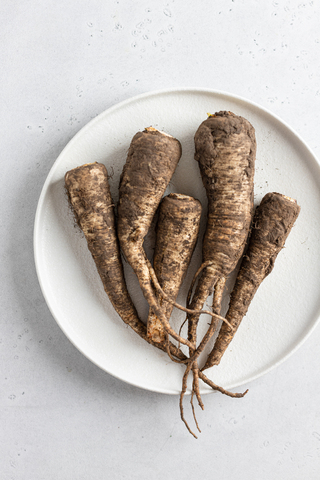 Корень пастернака