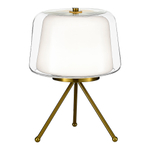 Настольная светодиодная лампа ST Luce PANDORA SL6127.304.01