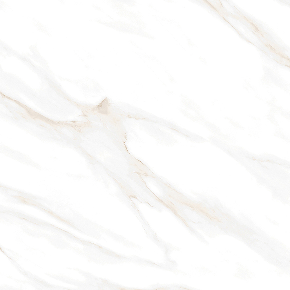 Calacatta Clarity Gold Керамогранит белый 60х60 Матовый
