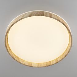 Citilux ENZO CL753452G LED RGB Светильник с пультом Клён