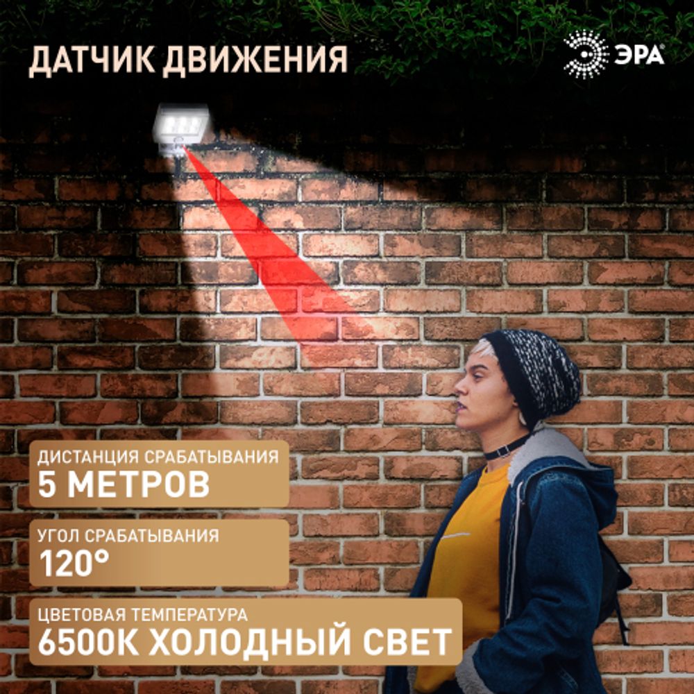 Светильник уличный ЭРА ERAFS048-08 настенный прожектор с датчиком движения, на солнечной батарее, 6LED, 150 lm | Садовые фасадные светильники