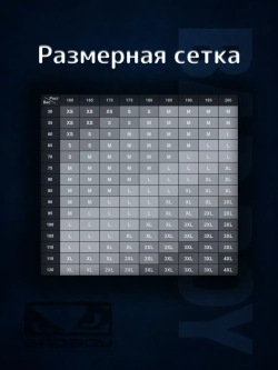 Штаны спортивные Bad Boy черные с начесом