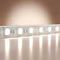 Светодиодная лента Maytoni Led Strip 5м 201188