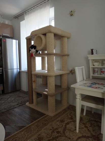 Дом для кота И-258 (мейн-кун)