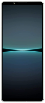 Sony Xperia 1 IV (XQ-CT72) 12/512Gb Ice White