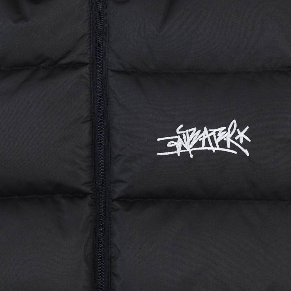 Куртка Anteater Downjacket (black)