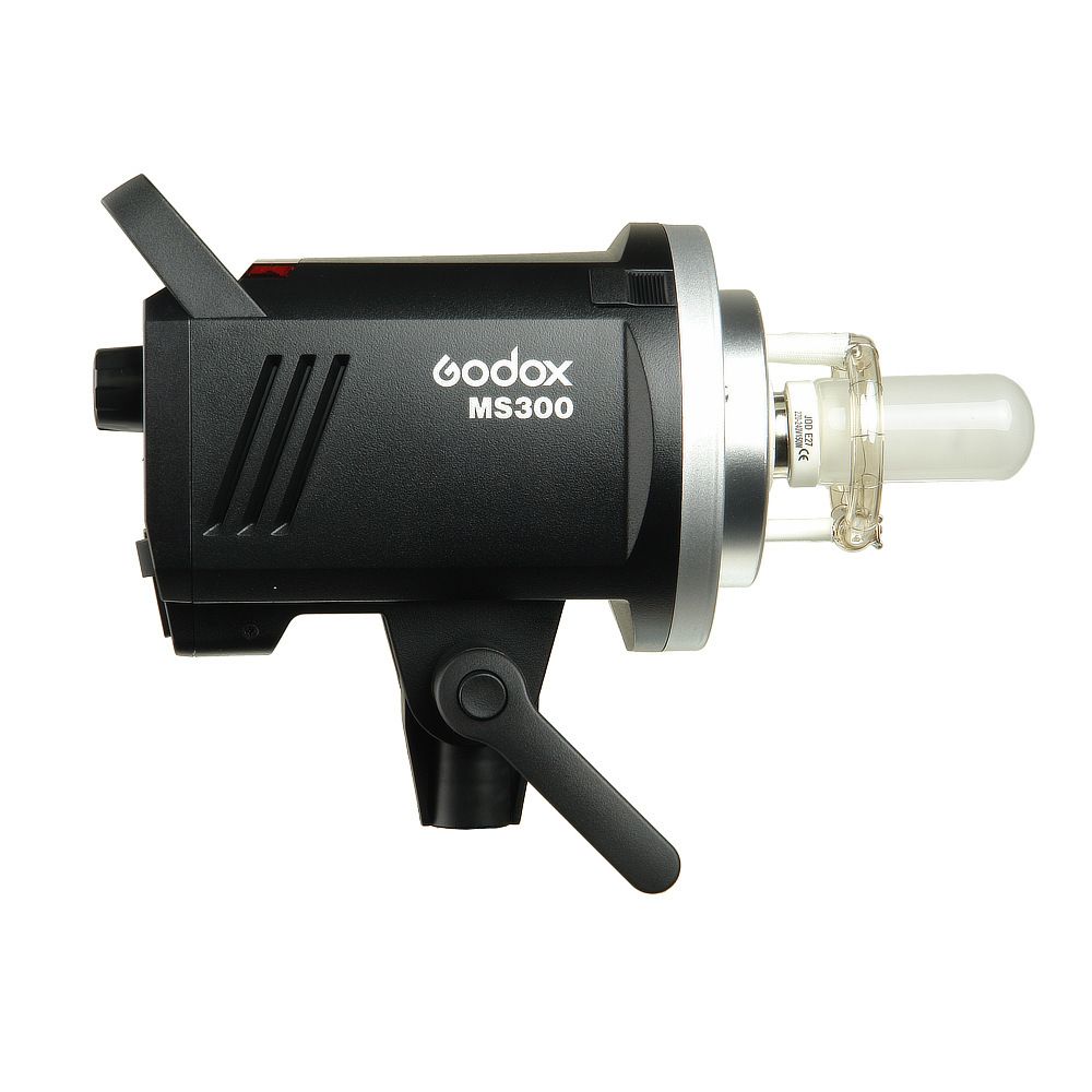 Godox MS300