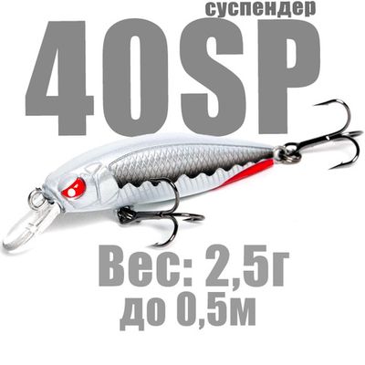 Basara 40SP