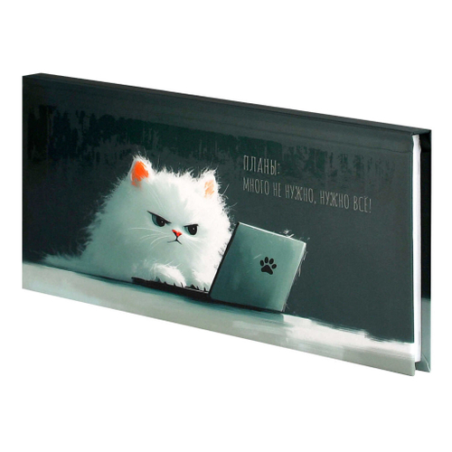 Еженедельник недатированный 171*93 мм ЭСКАЛАДА Кот с ноутбуком (71561)