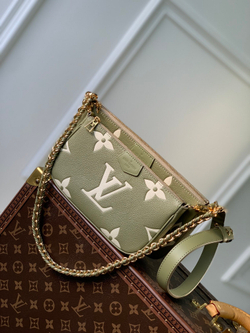 Louis Vuitton Multi Pochette Accessoires