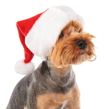 Колпак для собак новогодний "Santa" PUPPIA