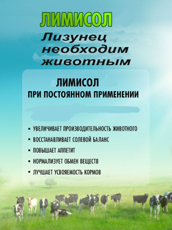 Соль для животных лизунец кормовая для имуннитета витамины