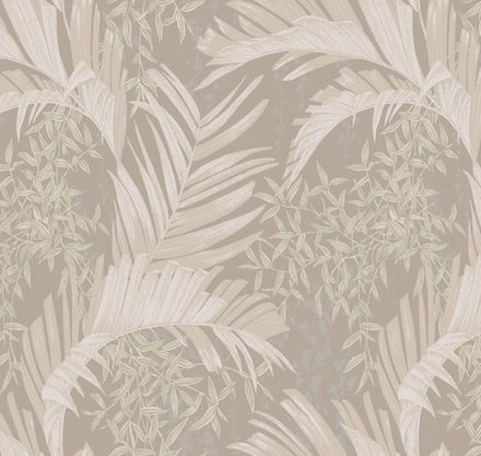 Окинава Цветущая пальма