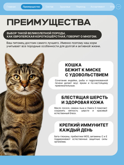 Корм сухой для взрослых кошек породы Европейская короткошёрстная, с лососем, 2 кг, QUATTRO