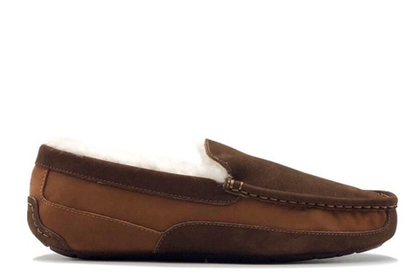 UGG Mens Ascot Gognac