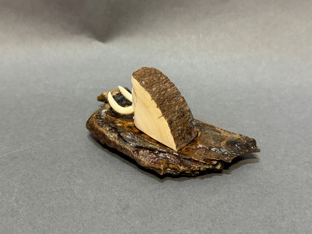 Мамонт шерстистый