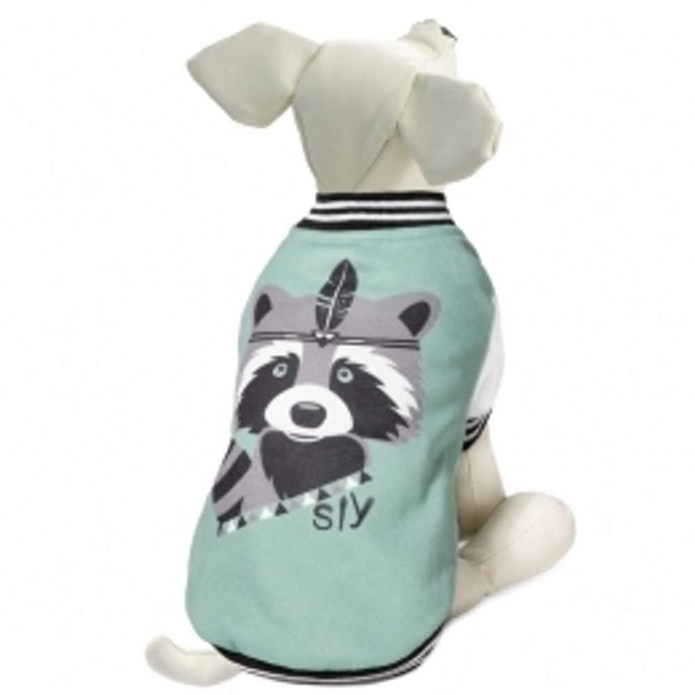 Triol Куртка-бомбер Енот-индеец, размер xl, 40 см