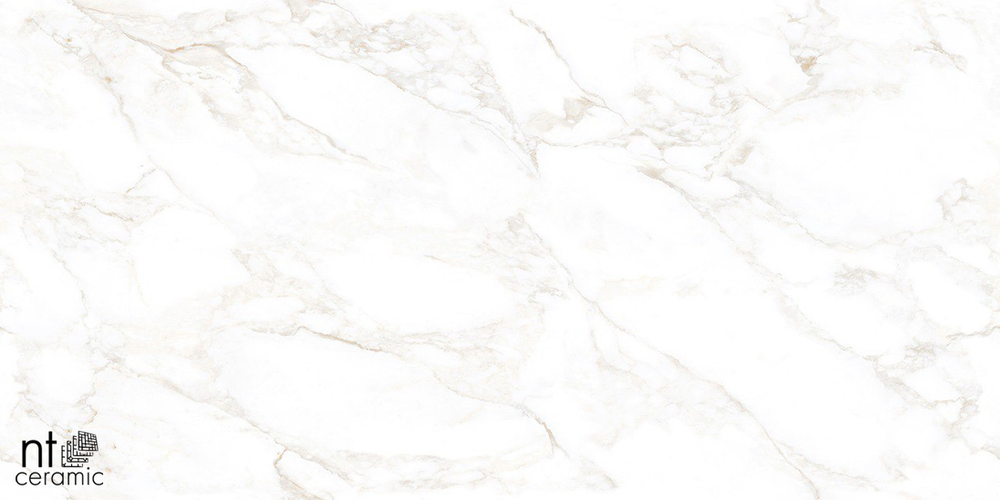 Керамогранит NT ceramic MARBLE EXTRA ENDLESS MAT NTT99526 600*1200мм полированный