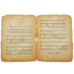 Ноты. «Попугай Флобер (Jamais)» из серии «Печальные песенки А. Н. Вертинского». – М., [1917].