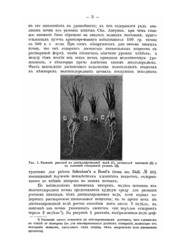 К вопросу о корневых выделениях в связи с почвоутомлением | Д.Н. Прянишников