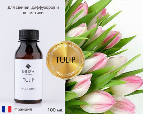 Tulip (Тюльпан)