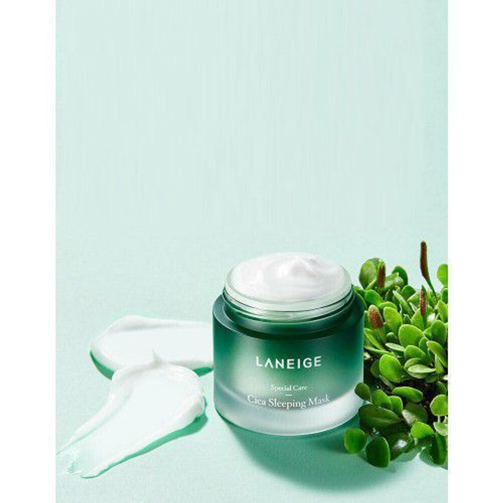 Laneige Special Care Cica Sleeping Mask ночная востанавливающая маска с центеллой