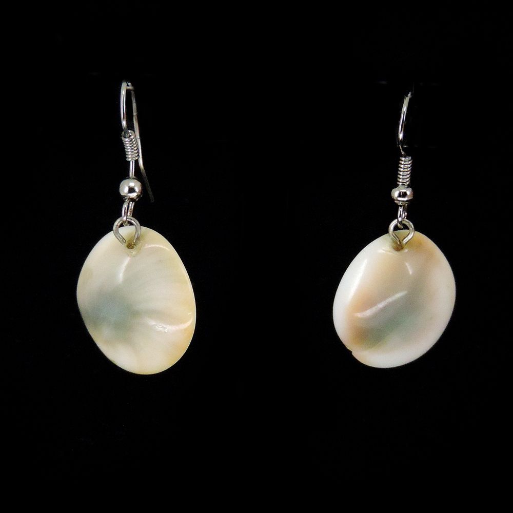 ракушка 5. ракушка 5. ракушка doxander vittatus — ленточный стромбус.