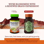 Herbs Etc., Respiratonic®, 30 мягких таблеток