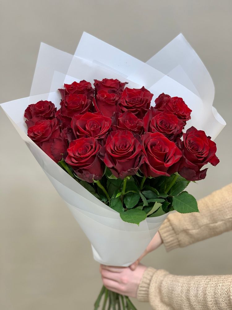 Букет 15 красных роз Эквадор 50см в пленке