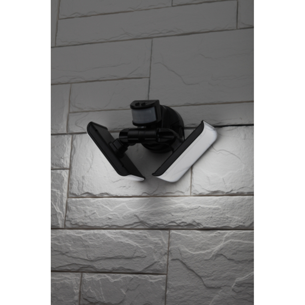 Светильник уличный ЭРА ERAFS020-42 настенный с двумя световыми панелями c выносной солнечной батареей