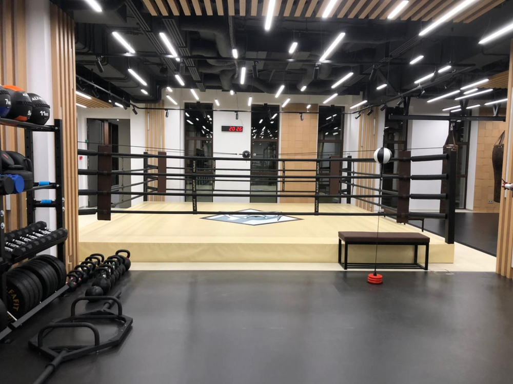 Ринг боксерский TARGEX на помосте высотой 0,3 м